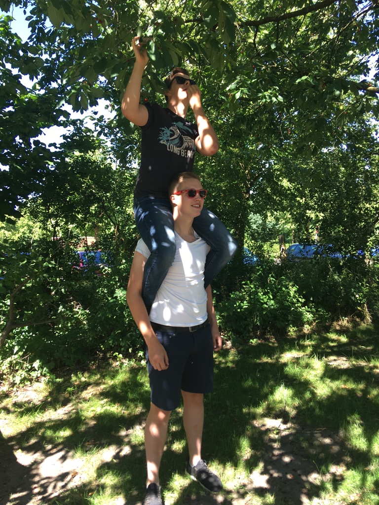 Soziale Woche 2018